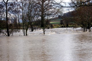 Hochwasser in Hmelschenburg im November 2010, Gestt Hmelschenburg, Foto: Beate Langels