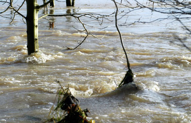 Hochwasser in Hmelschenburg im November 2010, Gestt Hmelschenburg, Foto: Beate Langels