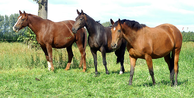Klassic, Beloved and Karena