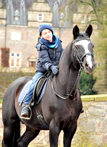 Jasper (7) und der Hmelschenburger Vererber Alter Fritz - Gestt Hmelschenburg im Dezember 2014, Foto: Beate Langels, 
Trakehner Gestt Hmelschenburg - Beate Langels