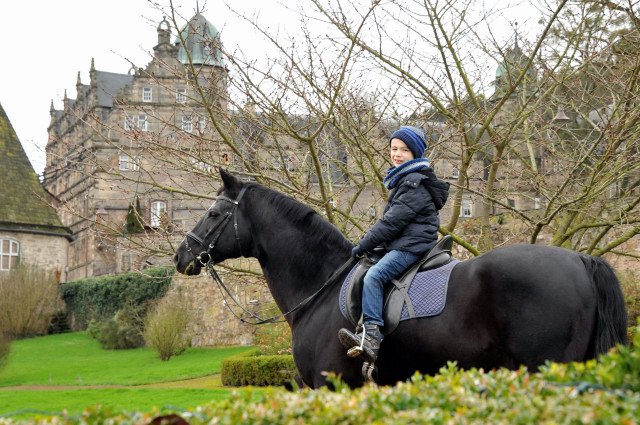 Jasper (7) und der Hmelschenburger Vererber Alter Fritz - Gestt Hmelschenburg im Dezember 2014, Foto: Beate Langels, 
Trakehner Gestt Hmelschenburg - Beate Langels