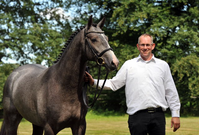 Trakehner Hengst aus der Thalia v. Exclusiv - copyright Beate Langels, Trakehner Gestt Hmelschenburg