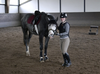 Tea for Two von Saint Cyr u.d. Teatime v. Summertime, Foto: Beate Langels - Trakehner Gestt Hmelschenburg