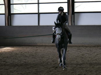 Tea for Two von Saint Cyr u.d. Teatime v. Summertime, Foto: Beate Langels - Trakehner Gestt Hmelschenburg