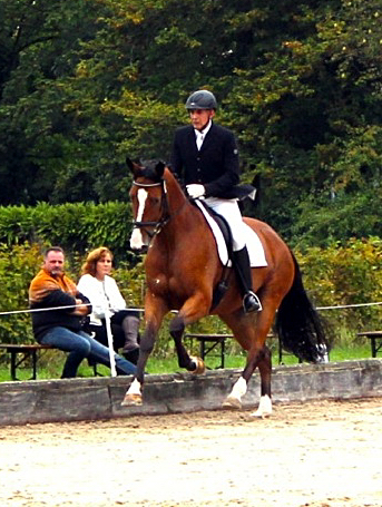 Tolkien 2014 - Foto: Rutsch, Trakehner Gestt Hmelschenburg