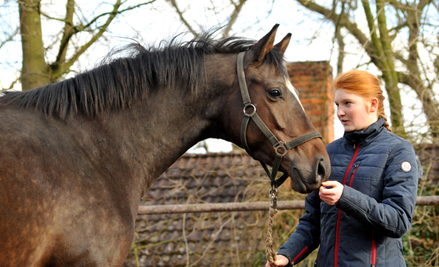 Schwalbendiva v. Totilas - 15. März 2016
- Trakehner Gestüt Hämelschenburg - Beate Langels