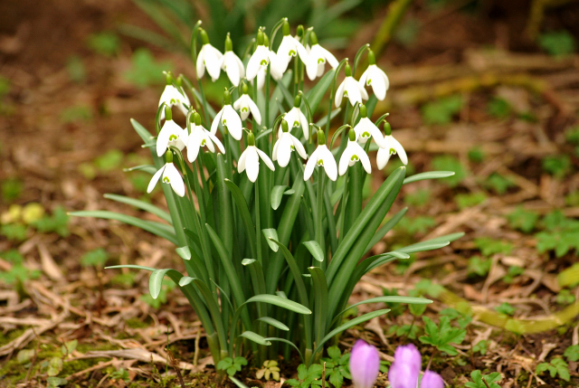 März 2016
- Trakehner Gestüt Hämelschenburg - Beate Langels