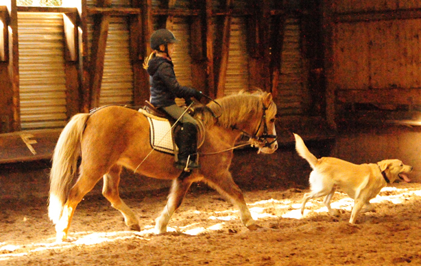 Greta und Cinja - 15. Mrz 2017 - Trakehner Gestt Hmelschenburg - Foto: Beate Langels