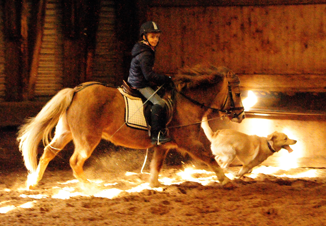 Greta und Cinja - 15. Mrz 2017 - Trakehner Gestt Hmelschenburg - Foto: Beate Langels