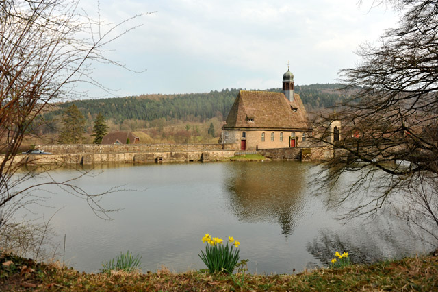 Trakehner Gestt Hmelschenburg