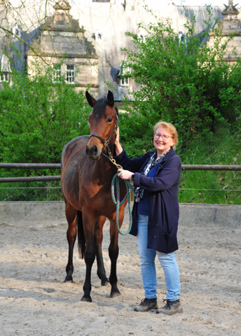 Klassic Moment - 2jhrige Stute v. His Moment u.d. Klassic v. Freudenfest