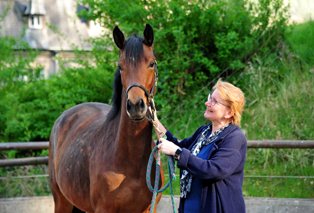 Klassic Moment v. His Moment x Freudenfest - Trakehner Gestt Hmelschenburg - Foto: Beate Langels