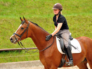 3jhriger Trakehner v. Summertime u.d. Klassic v. Freudenfest u.d. Kassuben v. Enrico Caruso - 15.05,2013 - Foto: Beate Langels - Trakehner Gestt Hmelschenburg