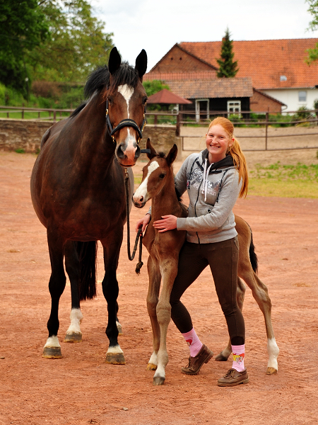 Tacyra mit Hengstfohlen von Zauberdeyk - Foto: Beate Langels