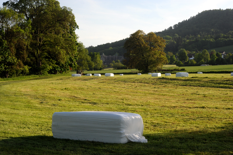 Silageernte in Hmelschenburg - Foto Beate Langels - Gestt Hmelschenburg