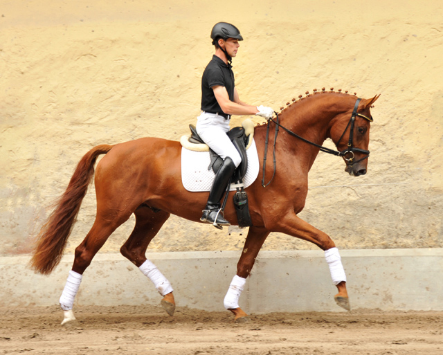 Tudor und Sascha Boehnke - Foto: Beate Langels