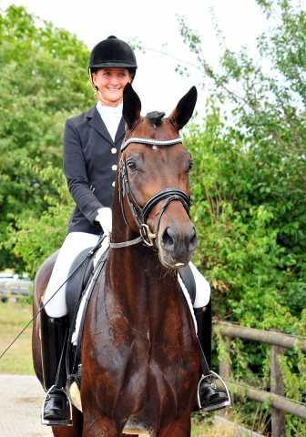 Mount Saint-Cyr - Trakehner Hengst von Saint Cyr u.d. Ma belle Fleur v. Summertime  - Foto: Trakehner Gestt Hmelschenburg