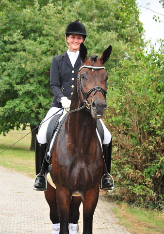 Mount Saint-Cyr - Trakehner Hengst von Saint Cyr u.d. Ma belle Fleur v. Summertime  - Foto: Trakehner Gestt Hmelschenburg