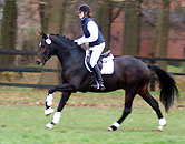 Symont von Monteverdi - Kostolany