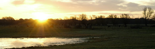 Sonnenaufgang in Schplitz, Foto: Beate Langels