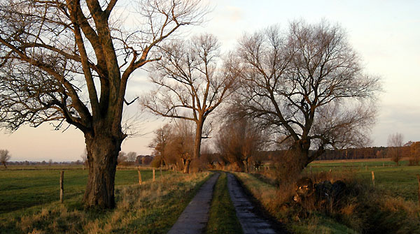 Idylle im Morgenlicht -  Novemer in Schplitz, Foto: Beate Langels