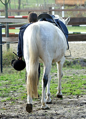 Richard und Kavaliero - Foto: Beate Langels