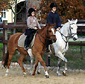 Herbst 2009 im Trakehner Gestüt Schplitz