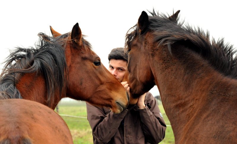 Zweijhrige Stuten  - Kuschelstunde mit Richard - in Schplitz - Foto: Beate Langels - Trakehner Gestt Hmelschenburg