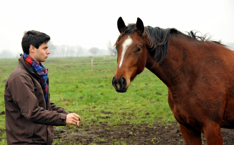 Zweijhrige Stute von Singolo u.d. Klassic v. Freudenfest in Schplitz - Foto: Beate Langels - Trakehner Gestt Hmelschenburg