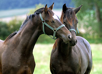 Fridolin by Freudenfest and Giovanni by Summertime