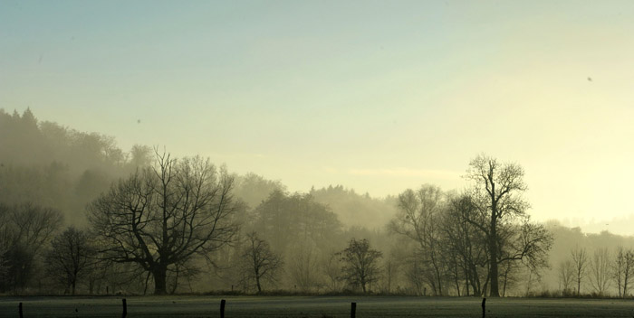 Ein Tag im Januar 2012 - Foto: Beate Langels - Trakehner Gestt Hmelschenburg