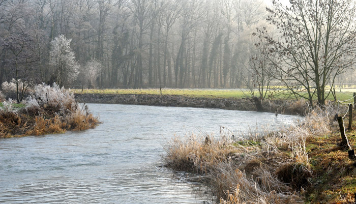 Ein Tag im Januar 2012 - Foto: Beate Langels - Trakehner Gestt Hmelschenburg