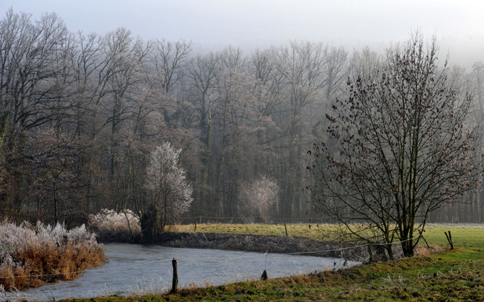 Ein Tag im Januar 2012 - Foto: Beate Langels - Trakehner Gestt Hmelschenburg
