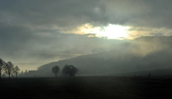 Ein Tag im Januar 2012 - Foto: Beate Langels - Trakehner Gestt Hmelschenburg
