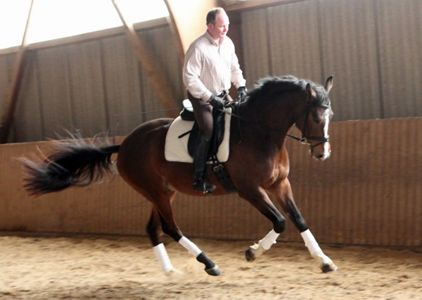 Galileo von Exclusiv - Maestro - Kostolany - Karon, Foto: Dietmar Habert