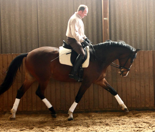 Galileo von Exclusiv - Maestro - Kostolany - Karon, Foto: Dietmar Habert