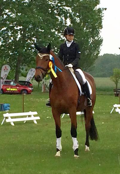 Trakehner Stute GALATEA von Syriano u.d. Pr.St. Gracia Patricia II v. Alter Fritz - Gestt Schplitz - Foto: Bernhard Langels