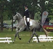 Perano von Hofrat und Stephanie Leuenberger - Gestt Hmelschenburg