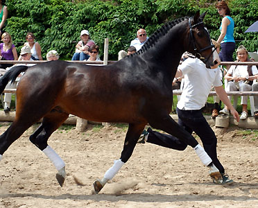 Shavalou v. Freudenfest u.d. Elitestute Schwalbenspiel v. Exclusiv, Foto: Beate Langels