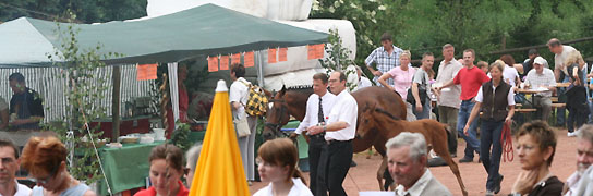 Quintus Jger und Henner Lindhorst im Anmarsch, Foto: L. Jancke