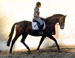 3j�hriger v. Meraldik x Exclusiv