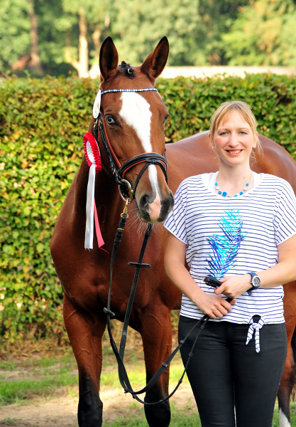 KLASSIC BLUE v. Singolo - Foto: Beate Langels - Trakehner Gestt Hmelschenburg