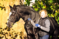 Im Oktober 2016 - Foto Beate Langels - Trakehner Gestt Hmelschenburg