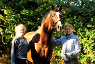 Im Oktober 2016 - Foto Beate Langels - Trakehner Gestt Hmelschenburg