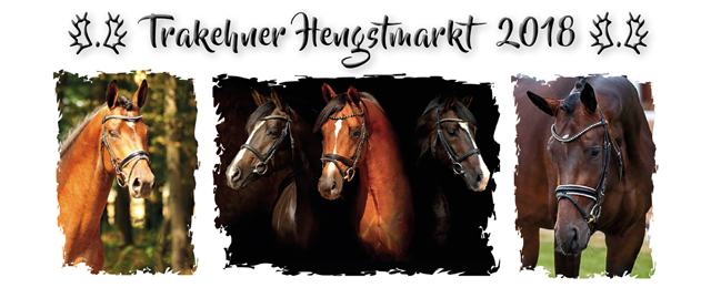 Trakehner Hengstmarkt in Neumnster 17.-21. Oktober 2018 - Trakehner Gestt Hmelschenburg - Beate Langels