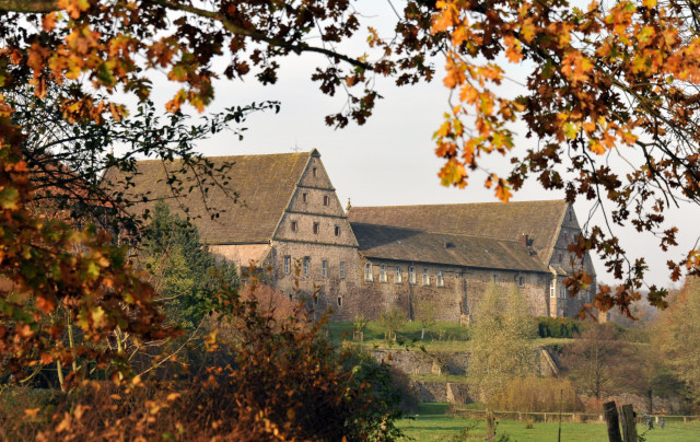 Hmelschenburg im November 2013, Foto: Beate Langels, Trakehner Gestt Hmelschenburg - Beate Langels