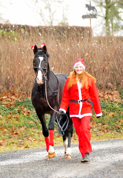 Shavalou und ein Weihnachts-Wichtel sind unterwegs - Trakehner Gestt Hmelschenburg - Beate Langels