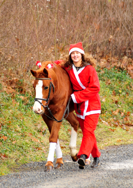 Die Weihnachts-Wichtel sind unterwegs - Trakehner Gestt Hmelschenburg - Beate Langels