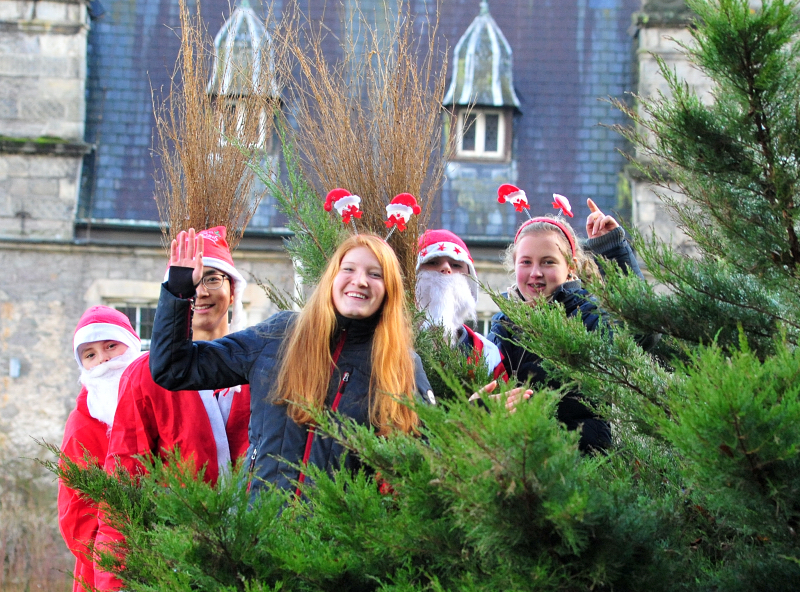 Weihnachts-Wichtel  - Trakehner Gestt Hmelschenburg - Beate Langels