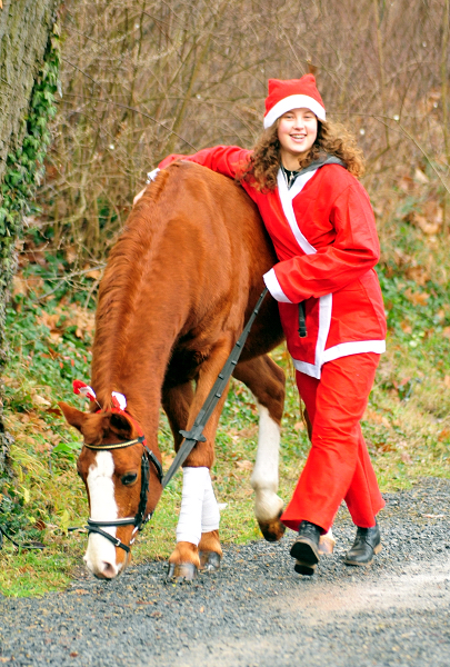 Die Weihnachts-Wichtel sind unterwegs - Trakehner Gestt Hmelschenburg - Beate Langels